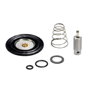 Diaphragm Replacement Kit